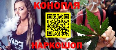шишки Канаш