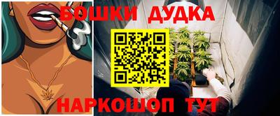 шишки Канаш