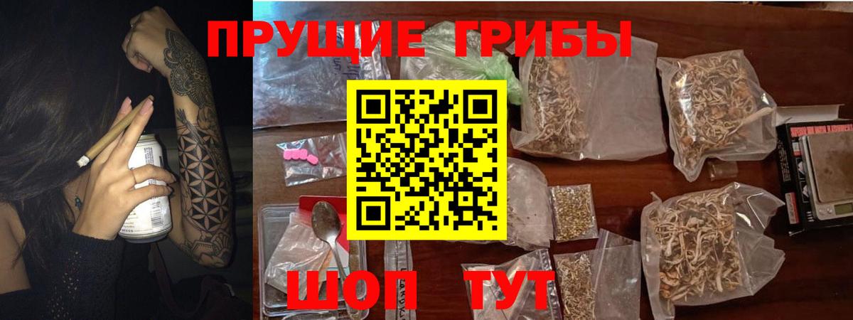 Кимры  Псилоцибиновые грибы Magic Shrooms  Вход с VPN 