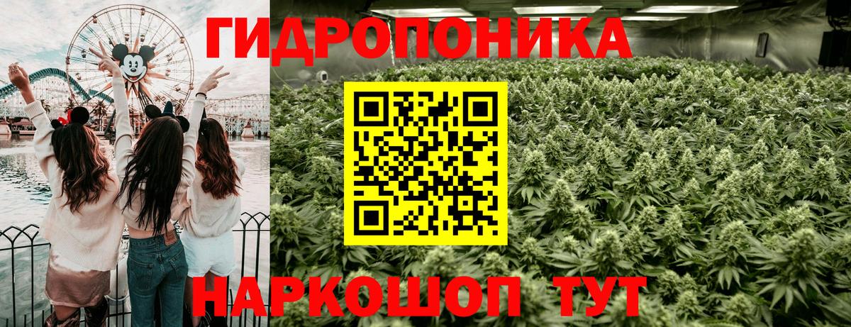 Конопля LSD WEED Кимры